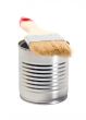 Tin paint and paint brush 