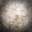 surface stone