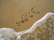 Love on the Beach