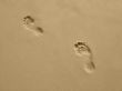 Footprints on the Beach