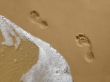 Footprints on the Beach with Water