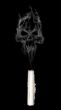 abstract smoke skull