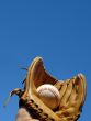 Baseball Catch Portrait