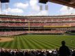 Baseball Stadium Background