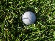 Golf Ball in Grass