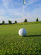 Golf Ball on Green