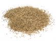 Grass Seed Pile on White