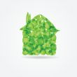Ecological concept. Small green house
