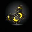 Beautiful fairy gold butterfly with shadow