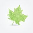 Green maple leaf illustration