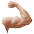 Man`s Arm