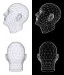 Human head. Vector Illustration