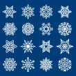 Set of Snowflakes Ornament