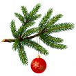 Pine tree branch with Christmas ball
