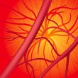 Blood system