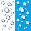 Water Drops