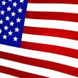 3D Rendered United States Flag