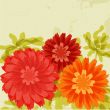 Red and orange chrysanthemums on grunge background