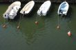 Leashed boats
