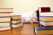 Studying Hard