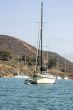 Sailboat Moored at Catalina Harbor