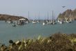 Yachts Moored at Catalina Harbor