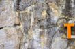 Stone background