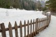 winter landscape fence