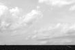 sky and field