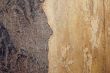 Wooden bark