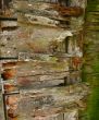 Vintage wooden texture