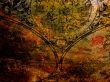 Old map on rusty metal, can be used as a background
