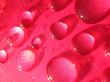 Drops of water in red