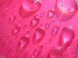 Drops of water in red