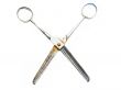 Old rusty scissors isolated on white background
