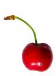 Cherry on white background