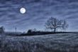 Night scene