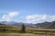 Lonely little tree on a background mountains