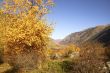 Autumn mountain landscape