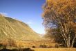 Autumn mountain landscape
