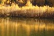 An autumn lake is in mountains