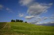 Spring in Tuscany