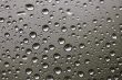 Rain water drops