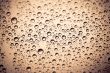 Rain water drops