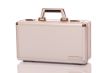 Metallic suitcase