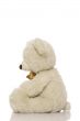 White teddy bear