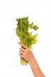 Celery bunch in a hand