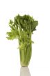 Celery bunch