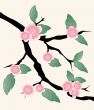 Blossom cherry - Greeting Card