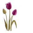 Decorative background with Tulips flowers